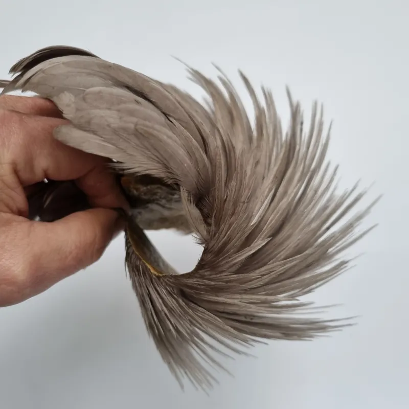 Whiting Exclusive WET Fly Hen Cape in Medium Dun-7